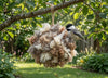 Alpaca Bird Nesting Ball You-Fill Cage - Choice Alpaca Products-birdcage-1