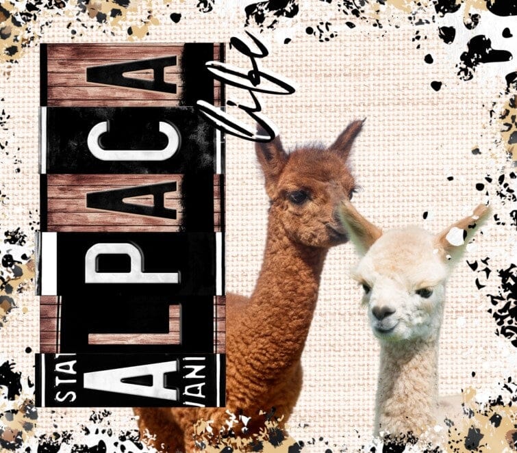 Alpaca Drink Tumbler - Choice Alpaca Products-Tumbler1
