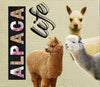 Alpaca Drink Tumbler - Choice Alpaca Products-Tumbler2
