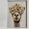 Alpaca Greeting Card - Coolpaca Gift Card 