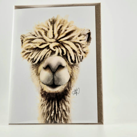 Alpaca Greeting Card - CoolPaca