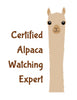 Alpacas Themed Patches - Choice Alpaca Products-certifiedalpacawatchingexpert