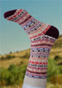 Andes Alpaca Socks - Choice Alpaca Products-Huancas-Lg-MC-01