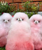 Premium Alpaca Fur Toys Collection - Choice Alpaca Products-WP-JOS-pinkcream-23