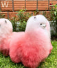 Premium Alpaca Fur Toys Collection - Choice Alpaca Products-WP-JOS-pinkcream-23
