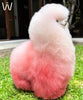 Premium Alpaca Fur Toys Collection - Choice Alpaca Products-WP-JOS-pinkcream-30