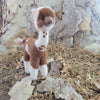 Shearing Day Alpacadorable Alpaca Ornament - Choice Alpaca Products-Alpacadorable_ShearingDay