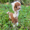 Shearing Day Alpacadorable Alpaca Ornament - Choice Alpaca Products-Alpacadorable_ShearingDay