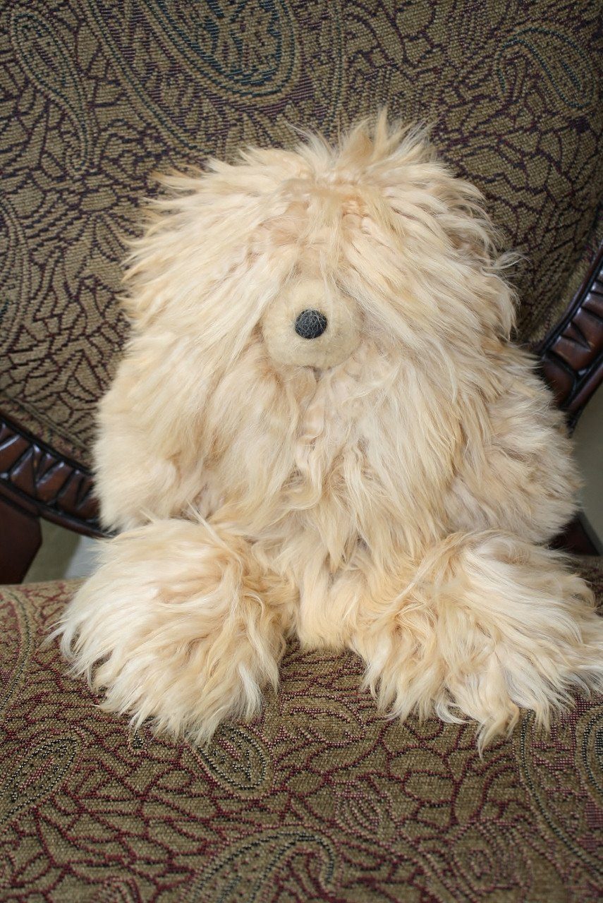 Fawn Suri bear
