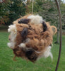 Alpaca Bird Nesting Ball You-Fill Cage - Choice Alpaca Products-birdcage-1
