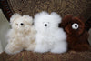 Alpaca Pocket Teddy Bears Toys Brown 