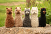 Alpacadorable Hand Made Baby Alpaca Ornaments - Choice Alpaca Products-AK_ornament-white
