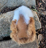 Fur Alpaca Guinea Pig ("Cuy") - Choice Alpaca Products-7inch_alpaca_cuy