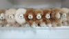 Fur Alpaca Lion - Choice Alpaca Products-7inch_alpaca_lion