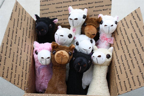 PacaBuddies Stuffed Alpaca Toys